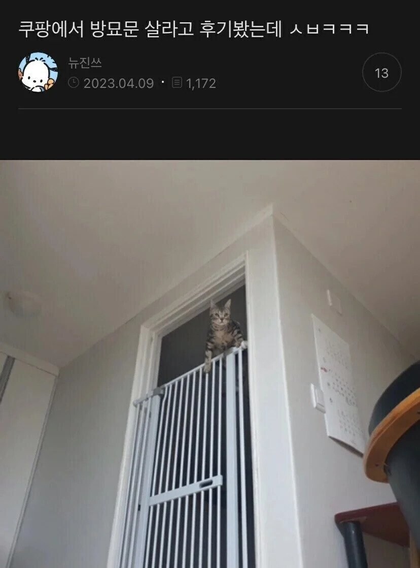 게시물 이미지