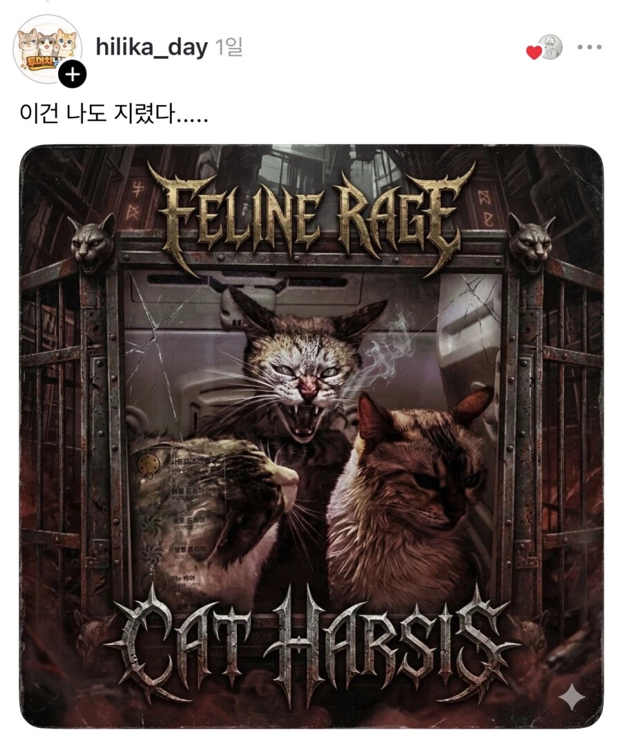 게시물 이미지