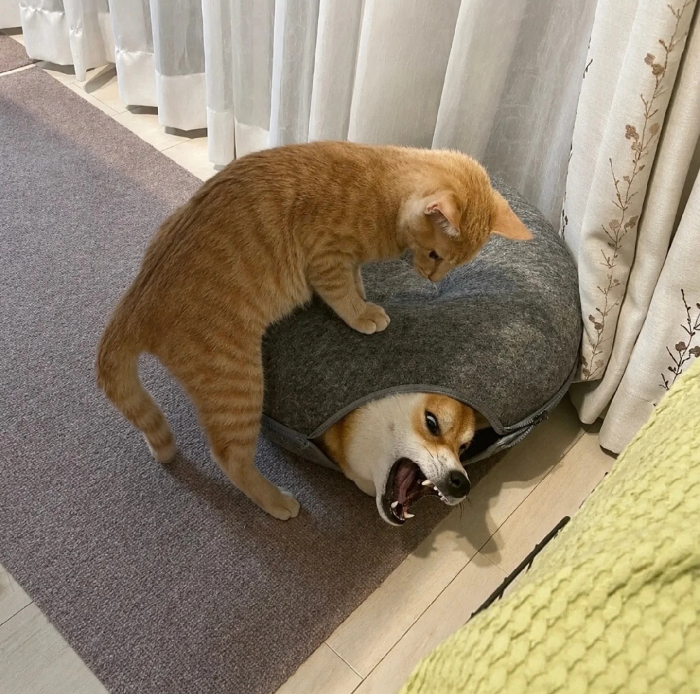게시물 이미지