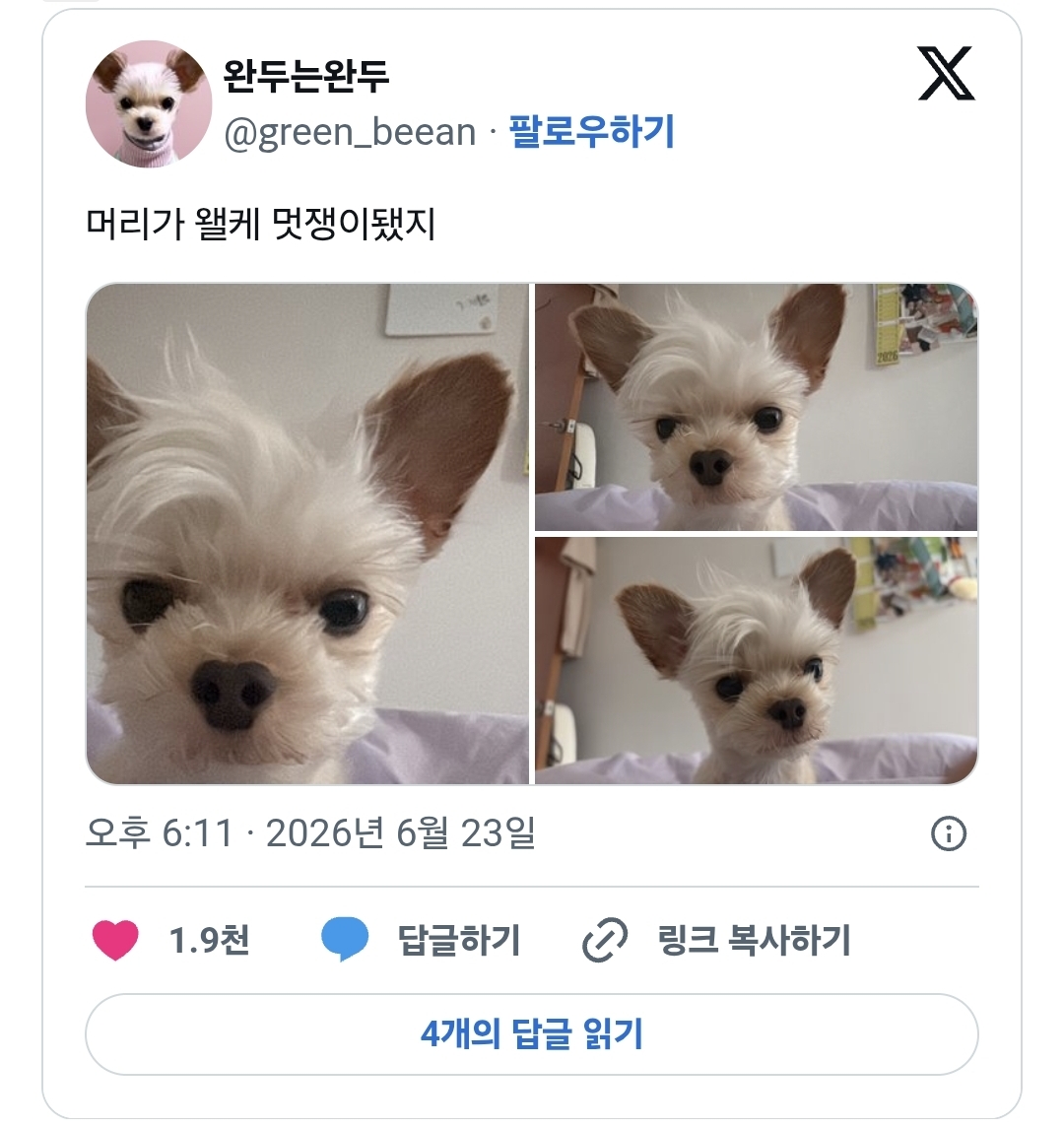 게시물 이미지