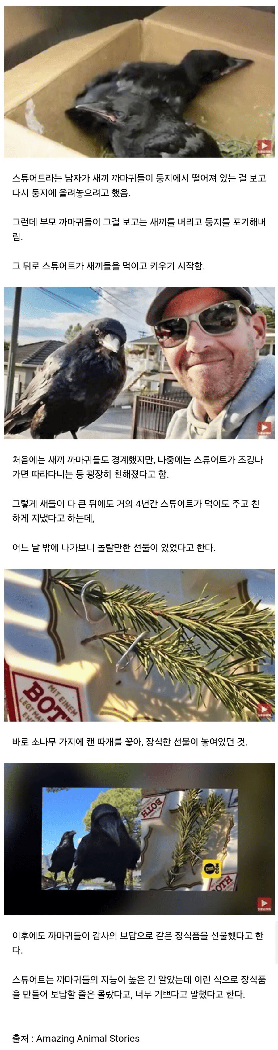 게시물 이미지