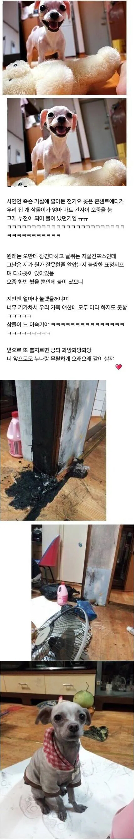 게시물 이미지