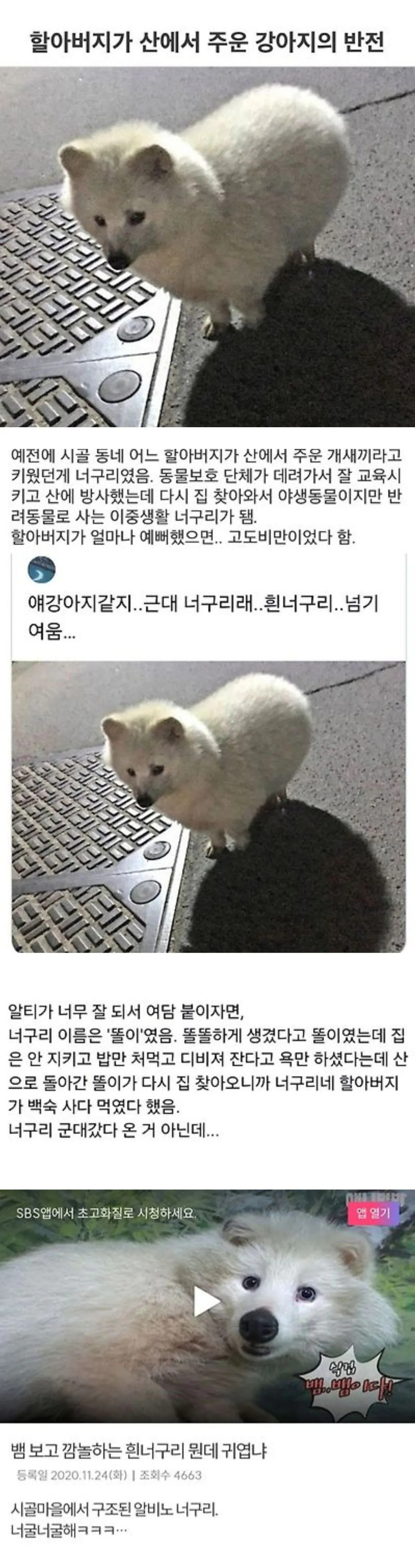 게시물 이미지
