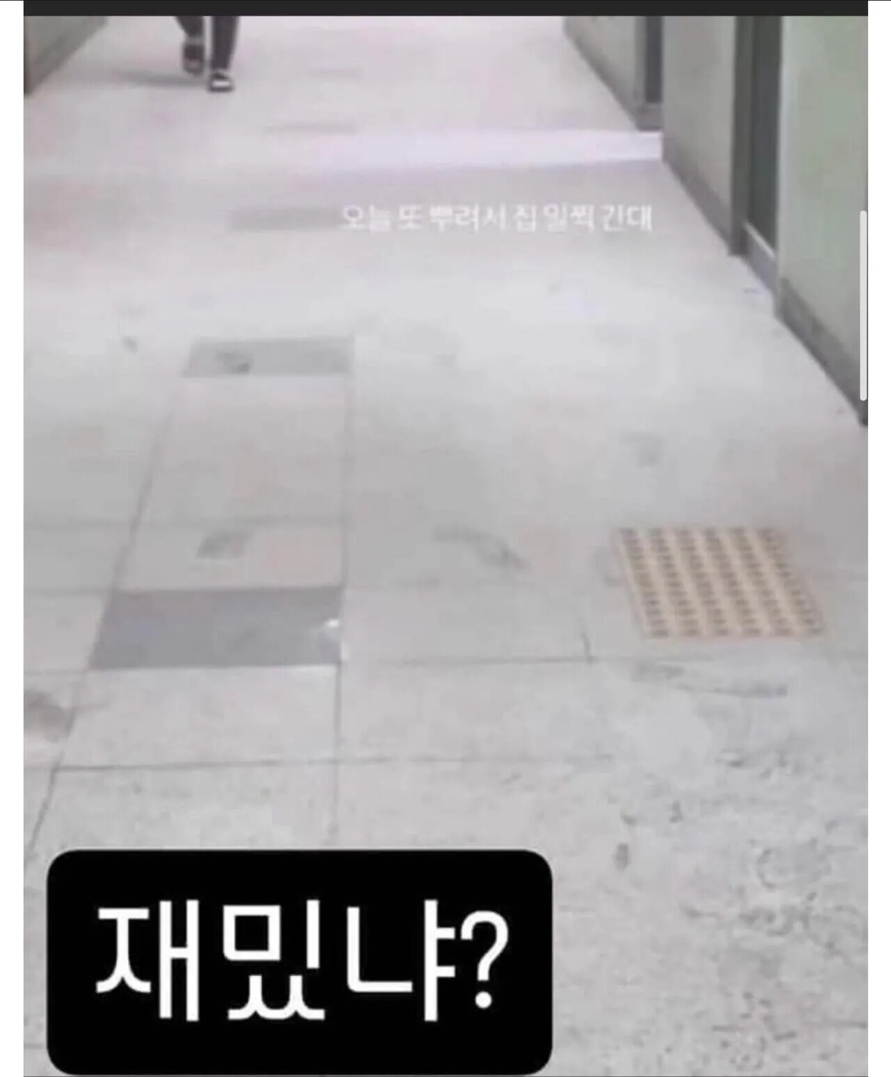 게시물 이미지