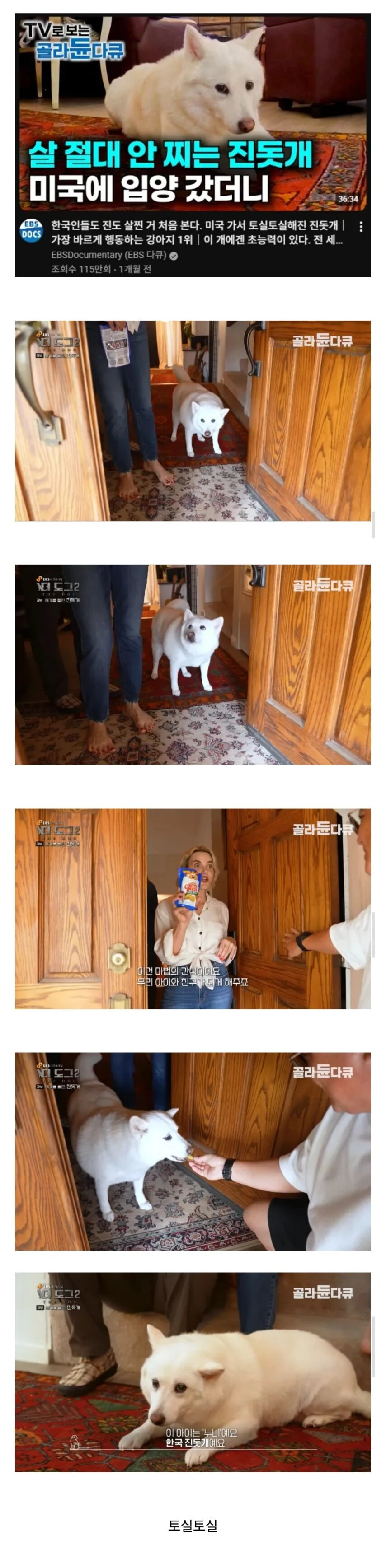 게시물 이미지