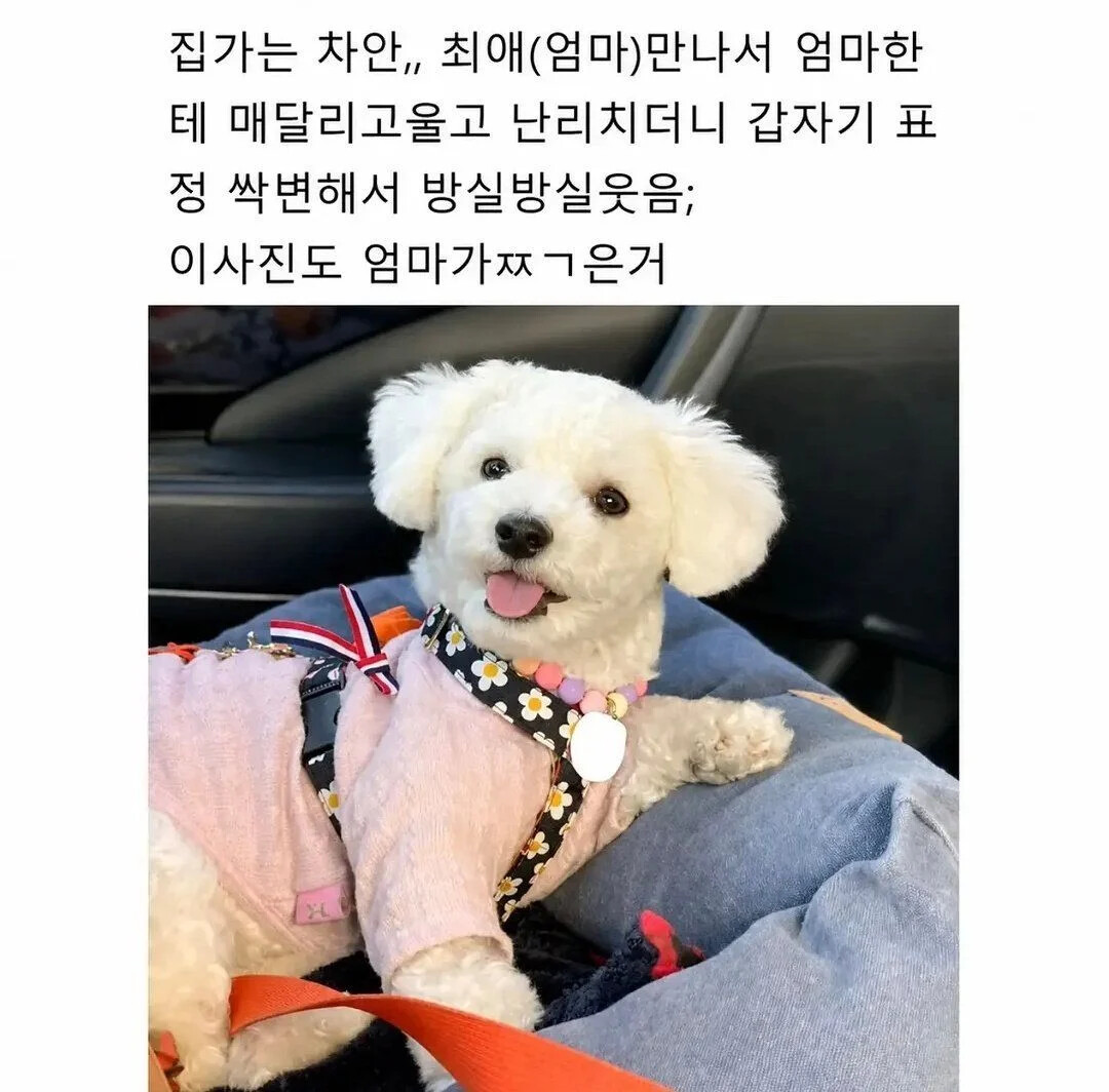 게시물 이미지