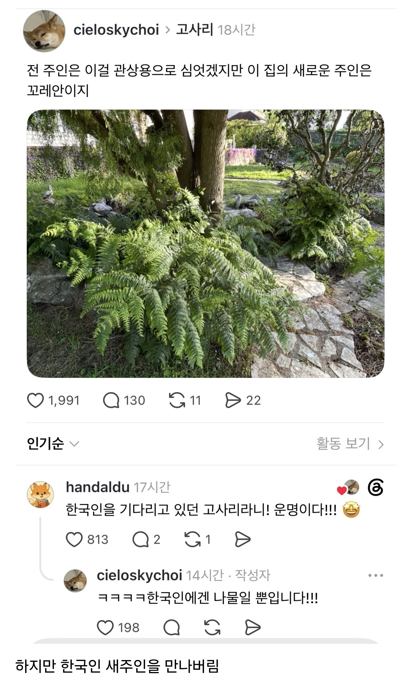 게시물 이미지
