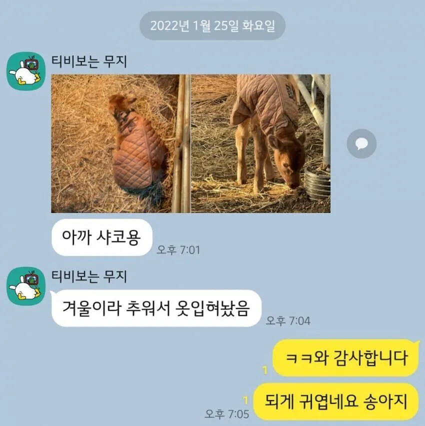 게시물 이미지