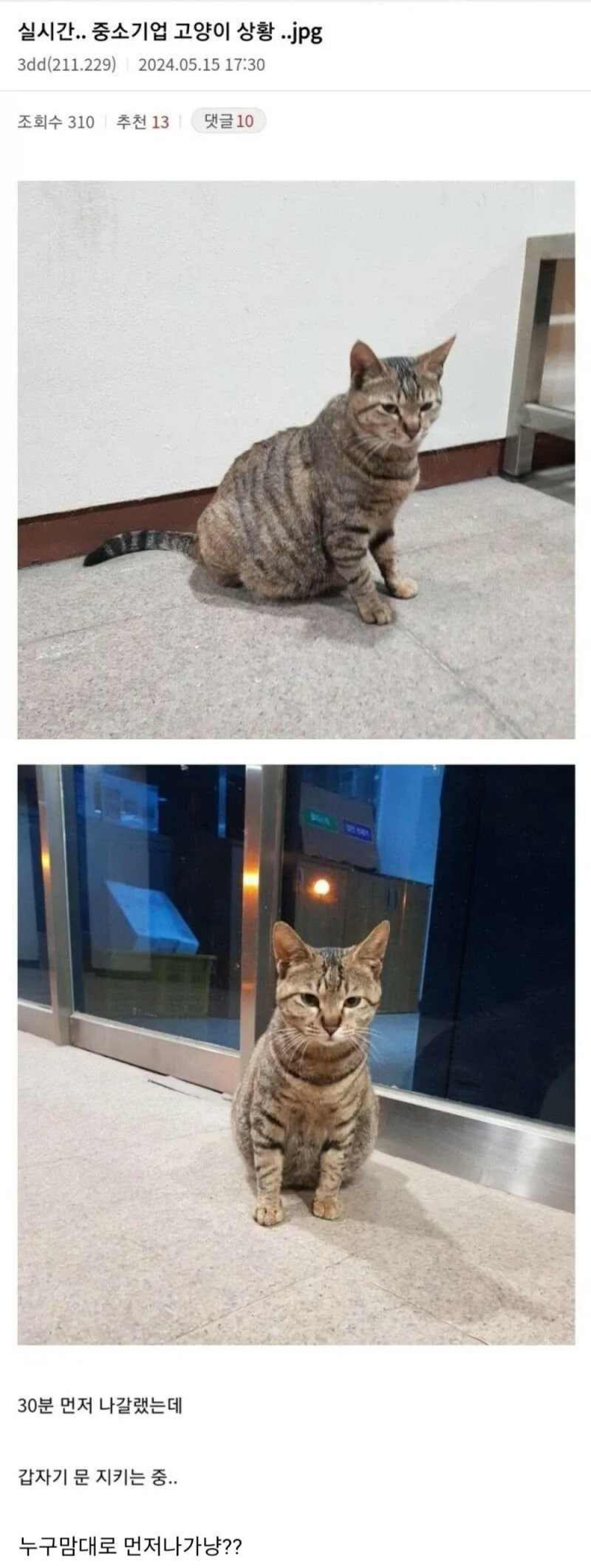 게시물 이미지