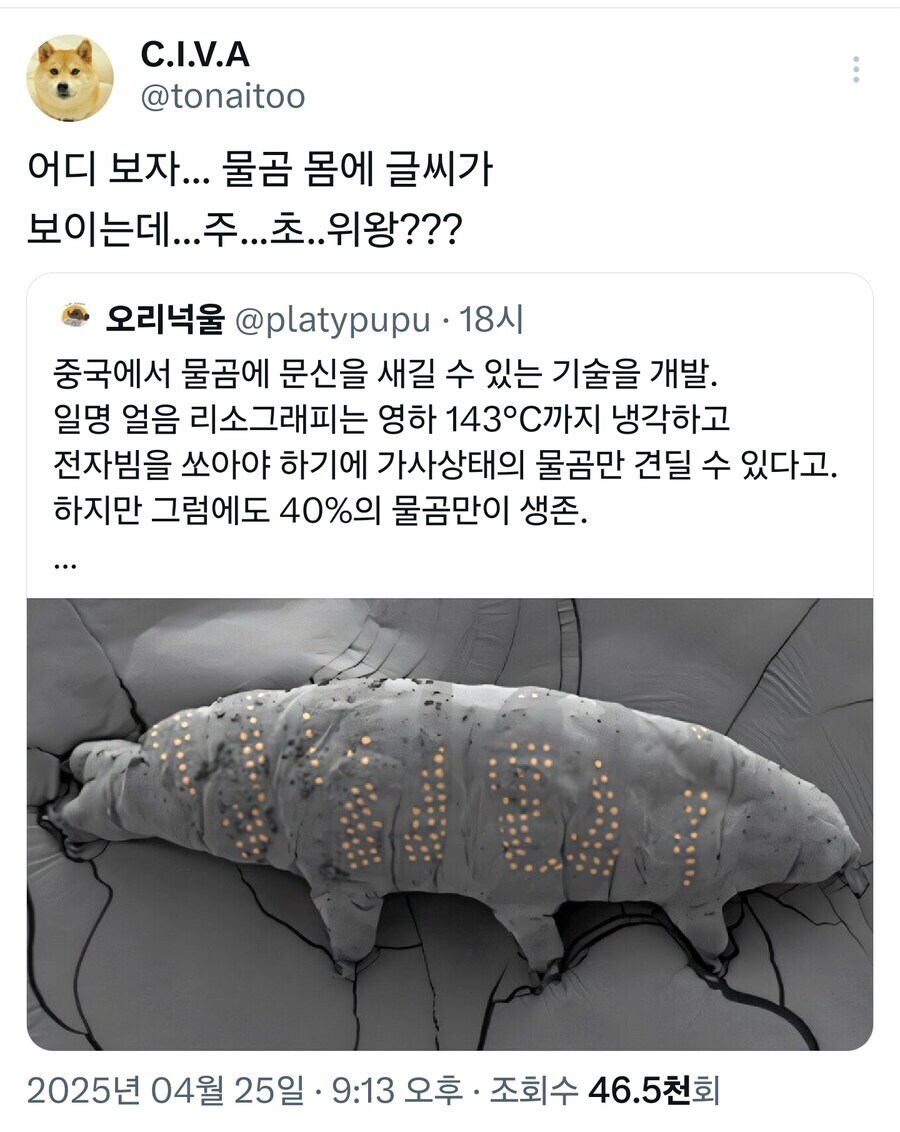 게시물 이미지
