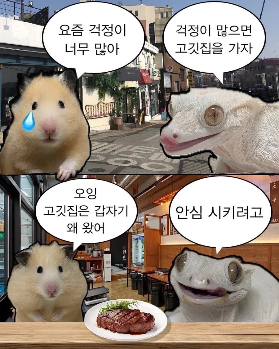 게시물 이미지