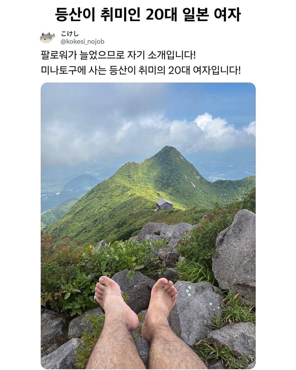 게시물 이미지