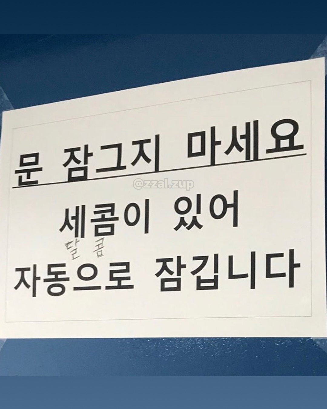 게시물 이미지
