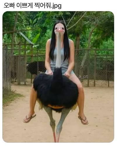 게시물 이미지