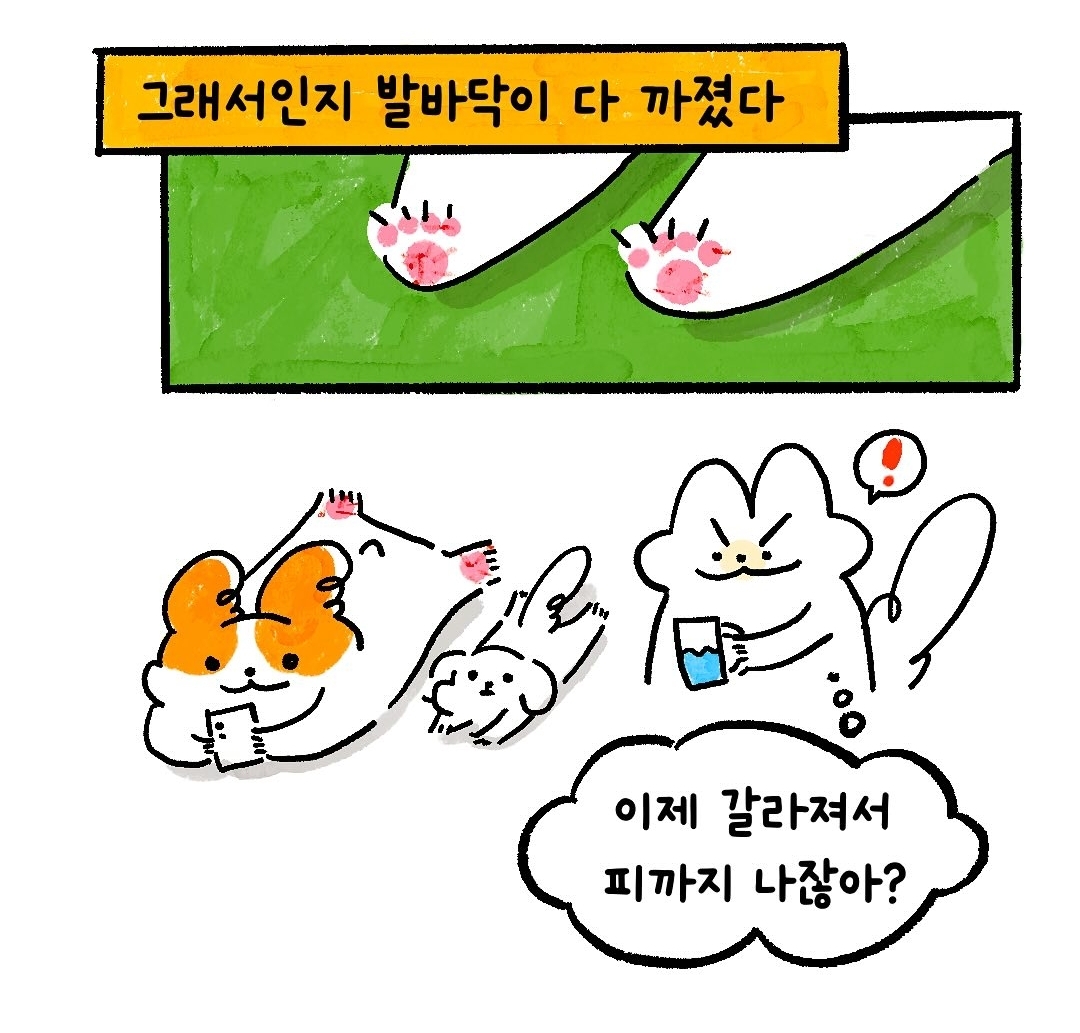 게시물 이미지