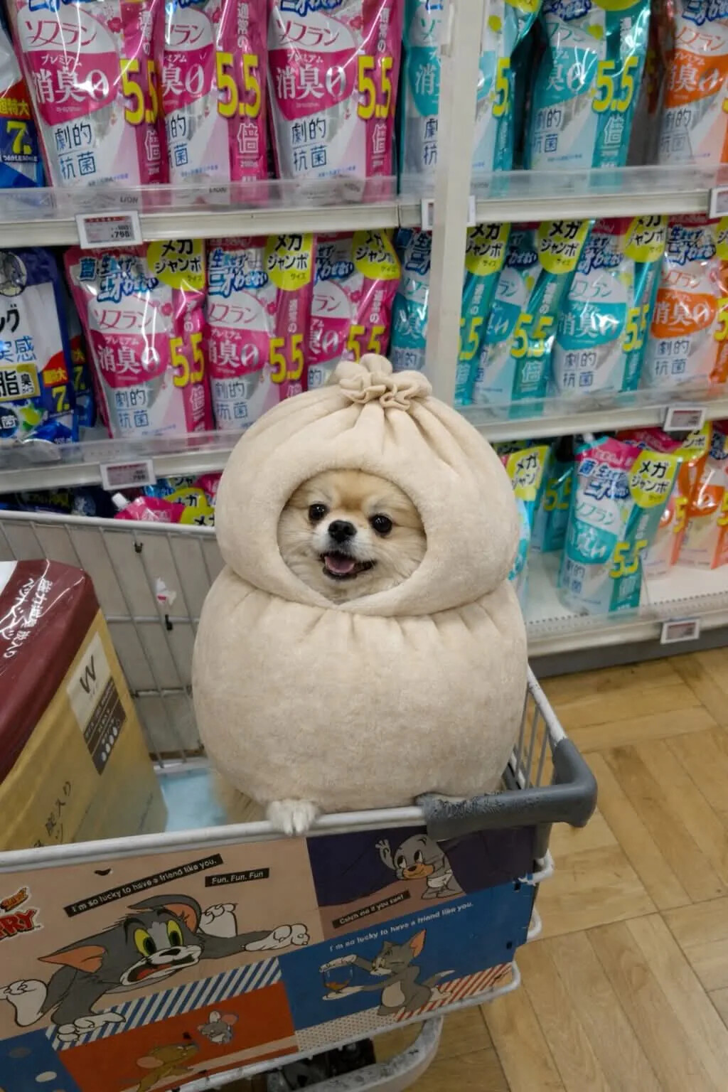게시물 이미지
