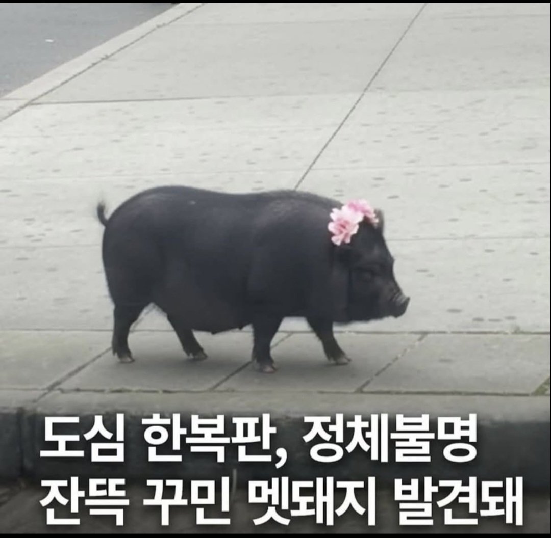 게시물 이미지