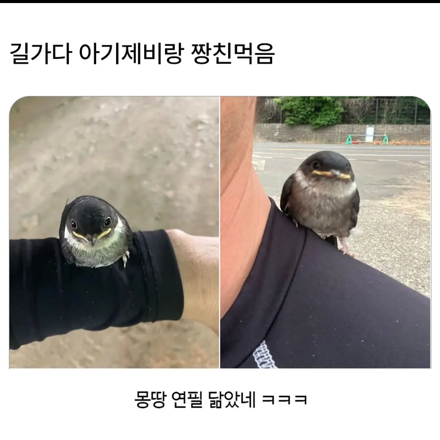 게시물 이미지