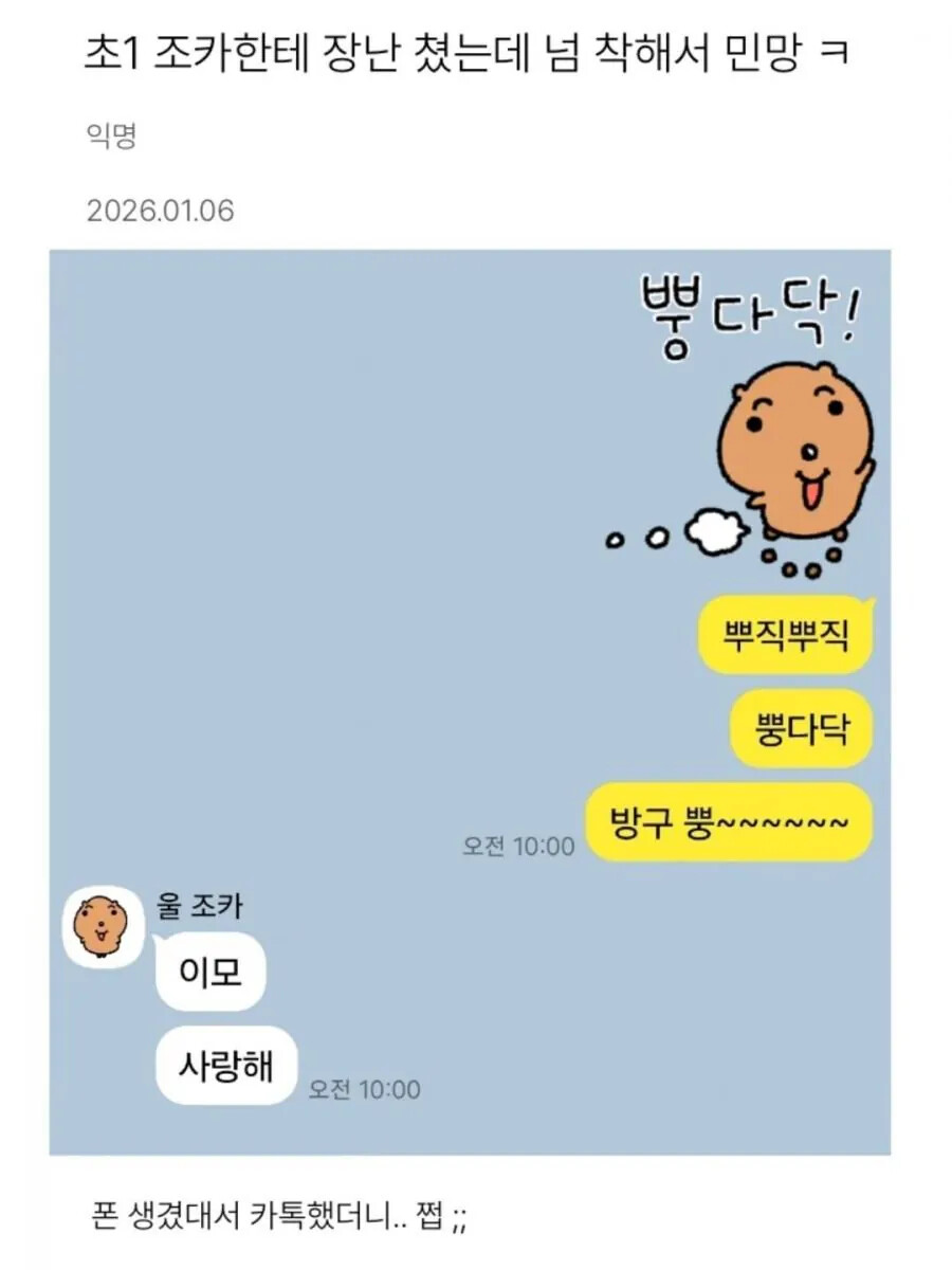 게시물 이미지