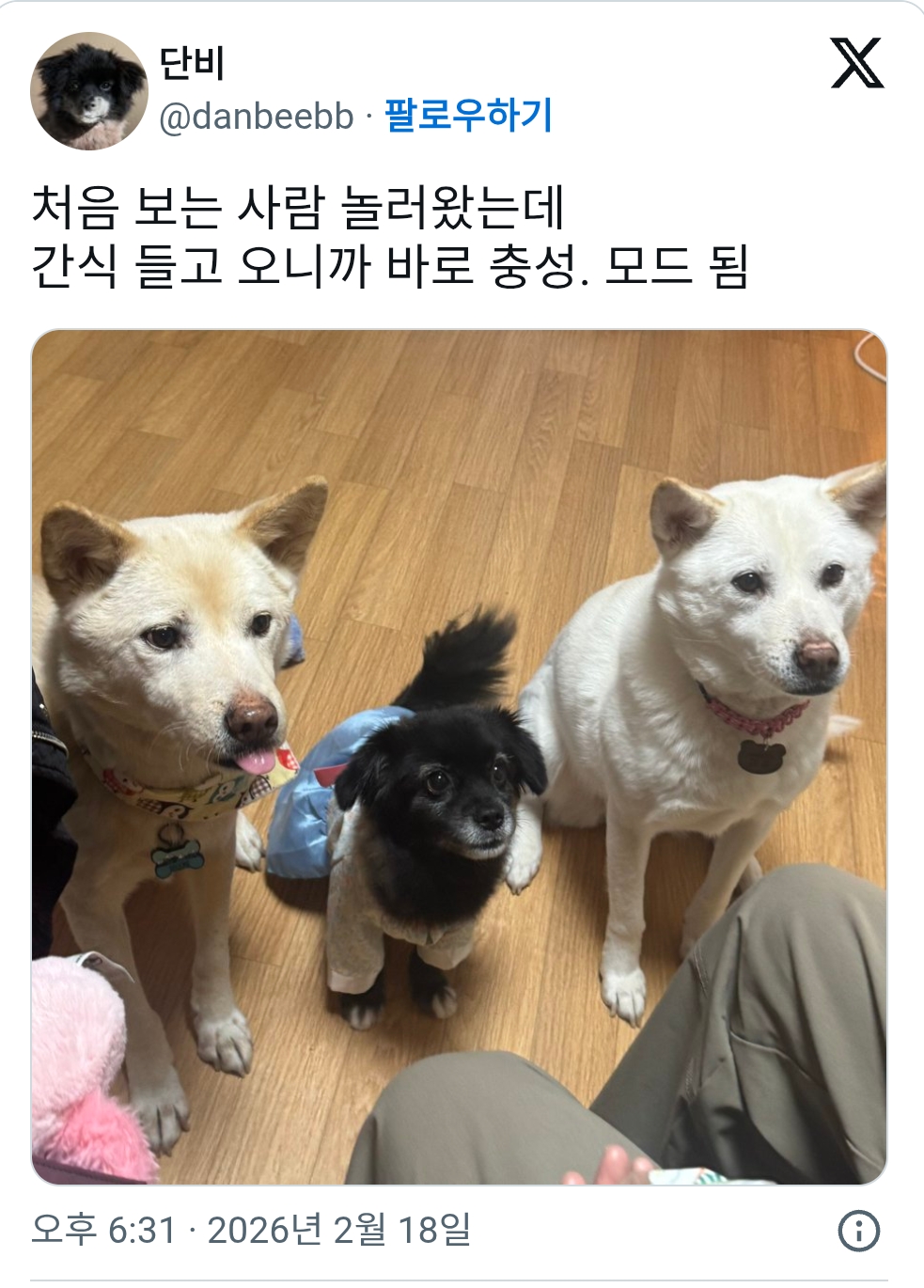 게시물 이미지
