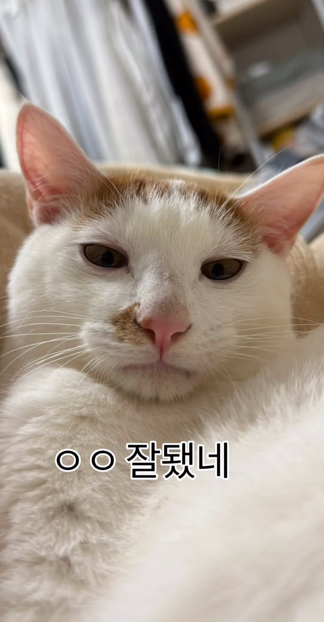 게시물 이미지