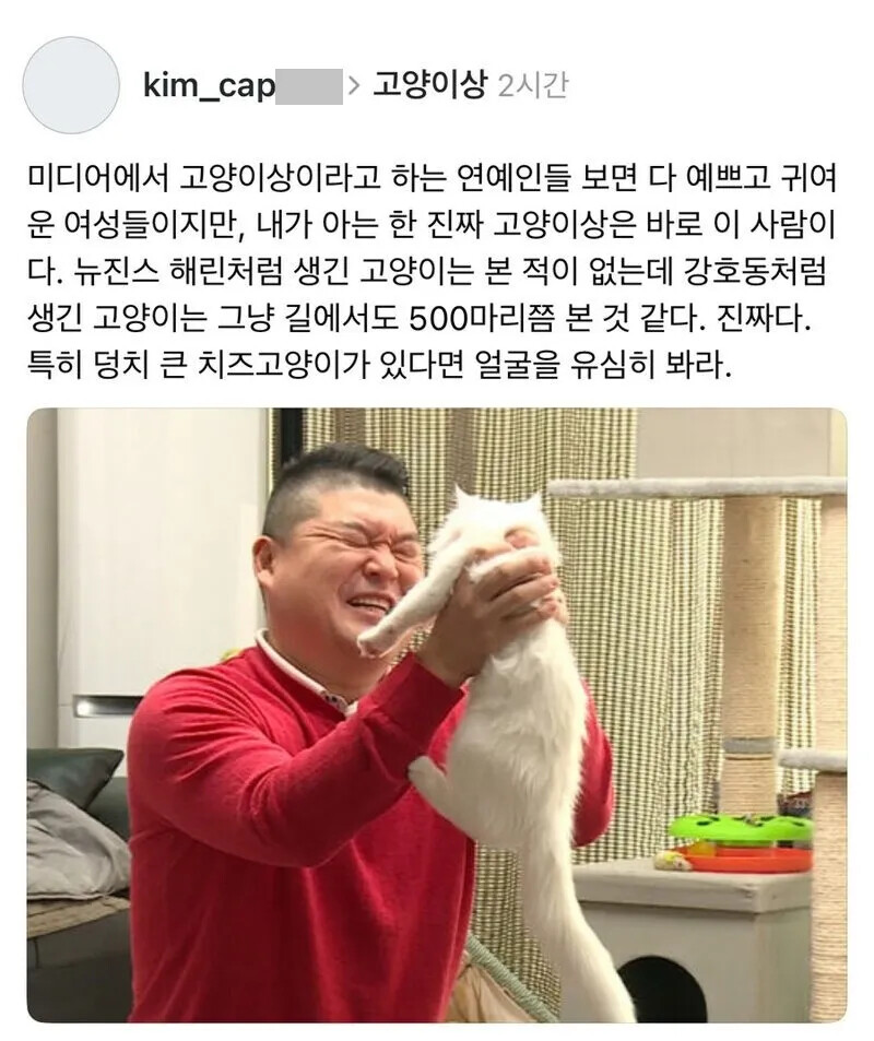 게시물 이미지