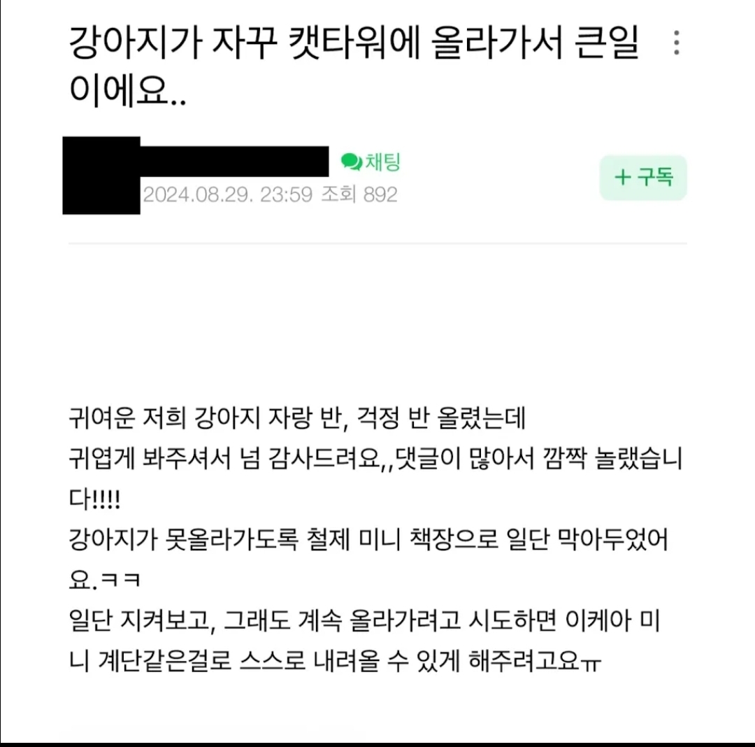 게시물 이미지