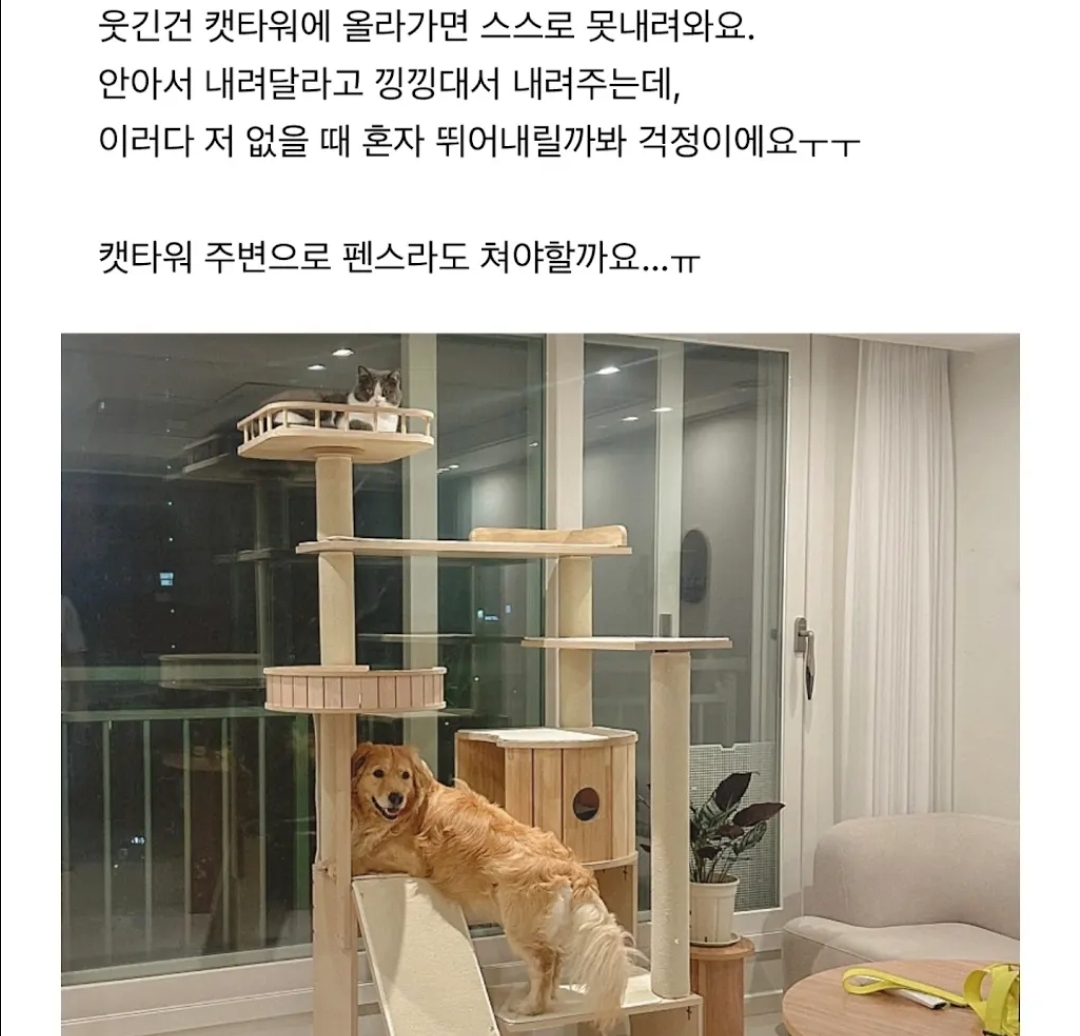 게시물 이미지
