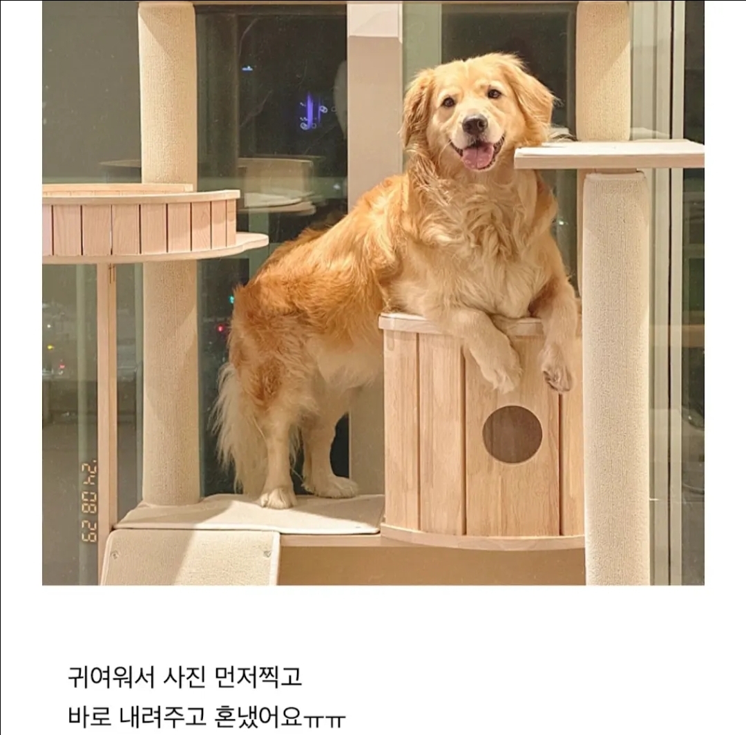 게시물 이미지