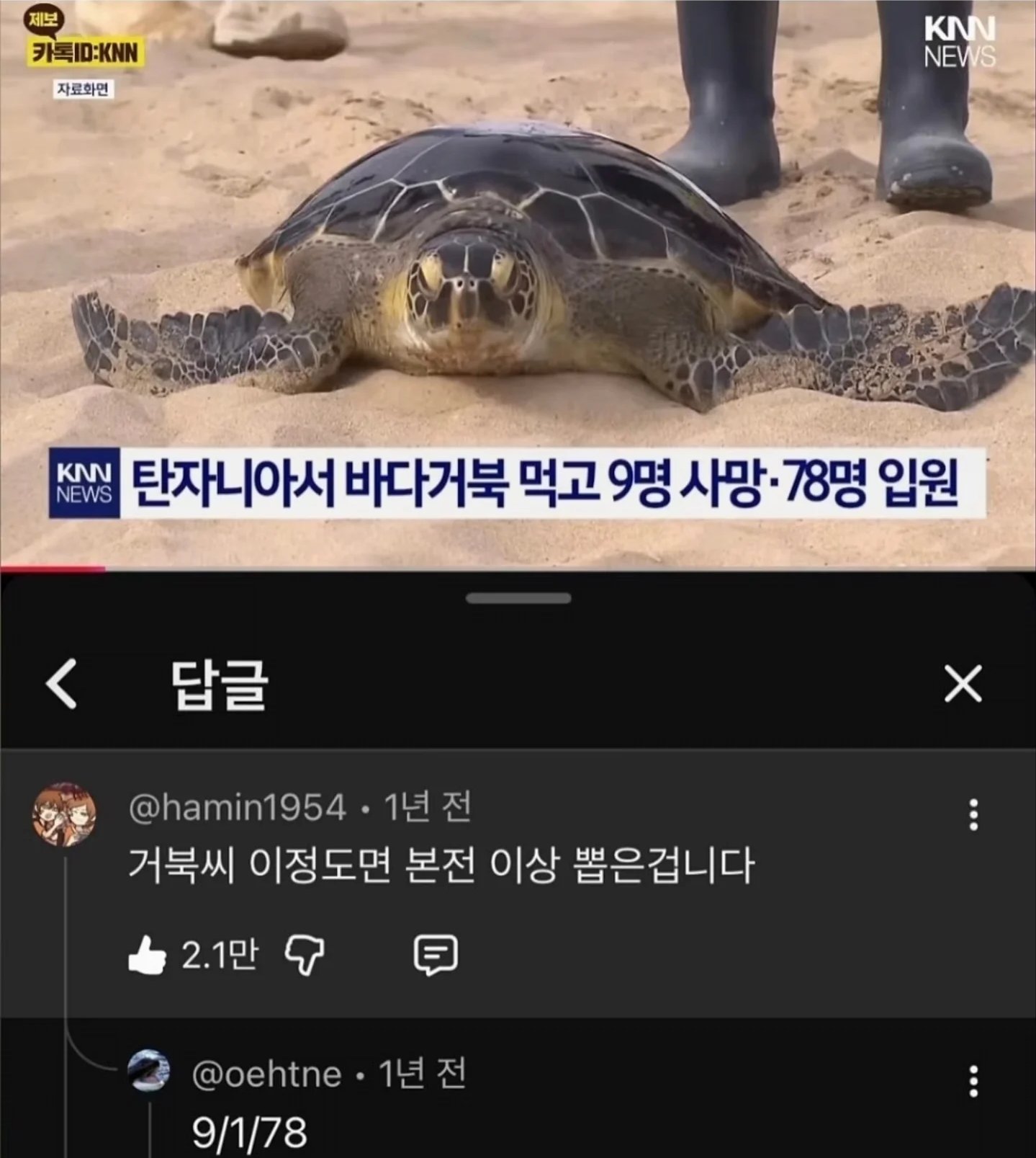 게시물 이미지