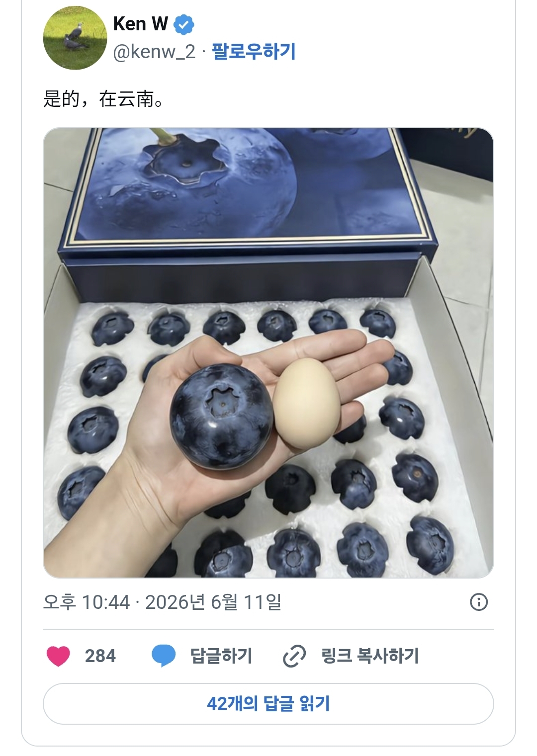 게시물 이미지