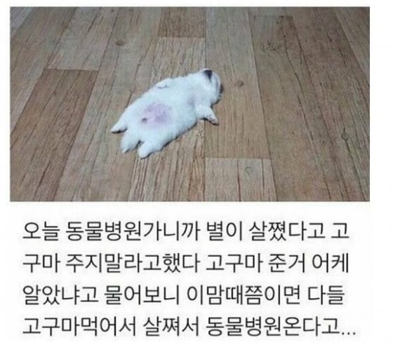 게시물 이미지