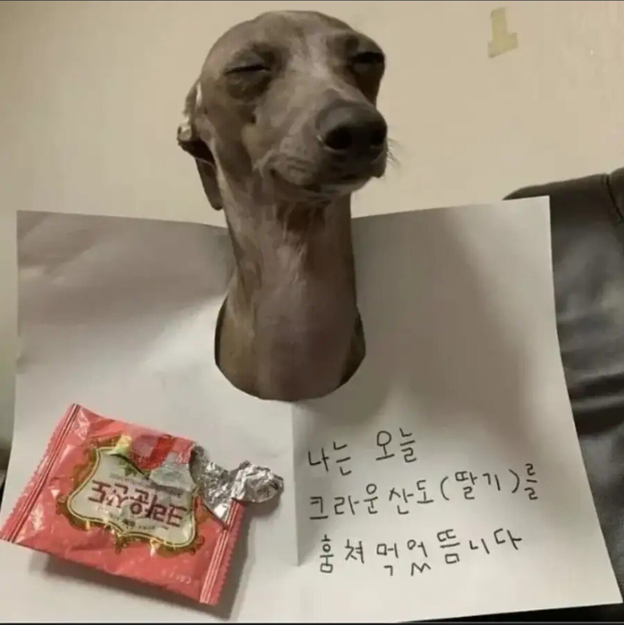 게시물 이미지
