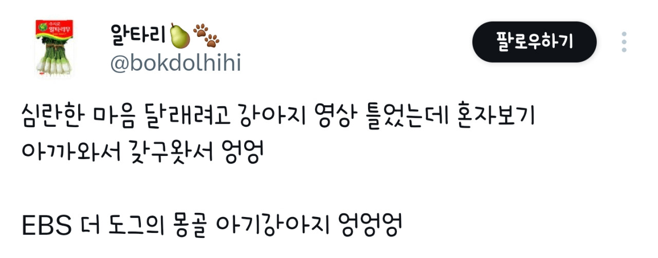 게시물 이미지