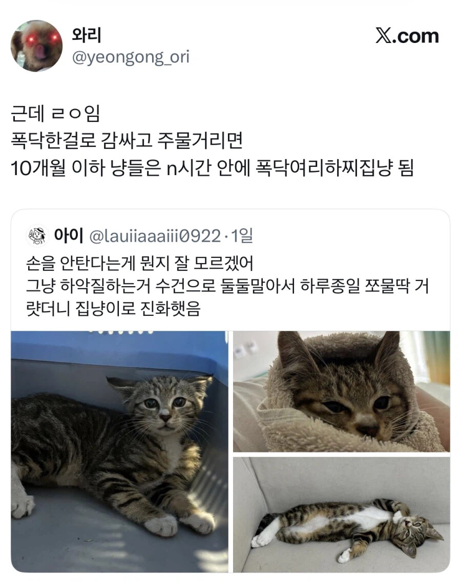 게시물 이미지