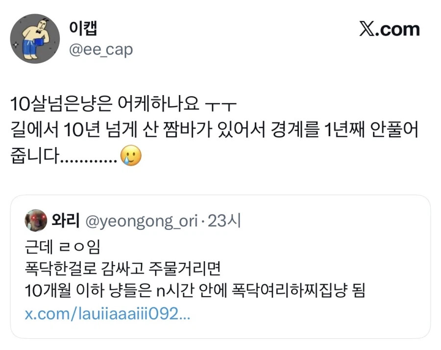 게시물 이미지