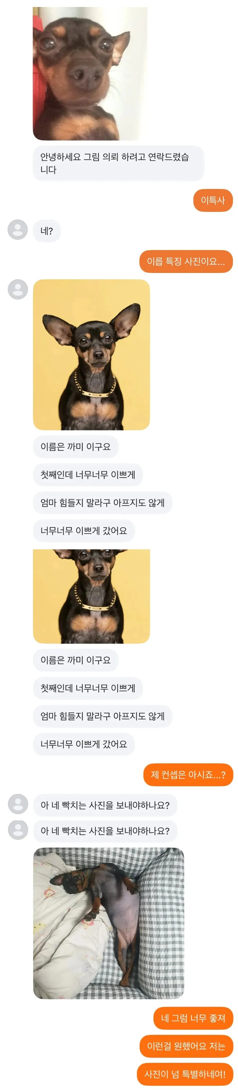 게시물 이미지