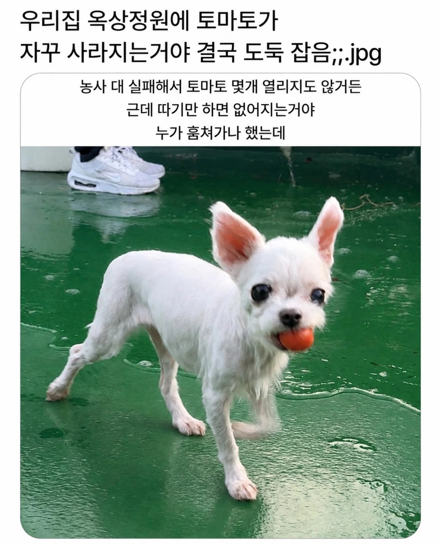 게시물 이미지