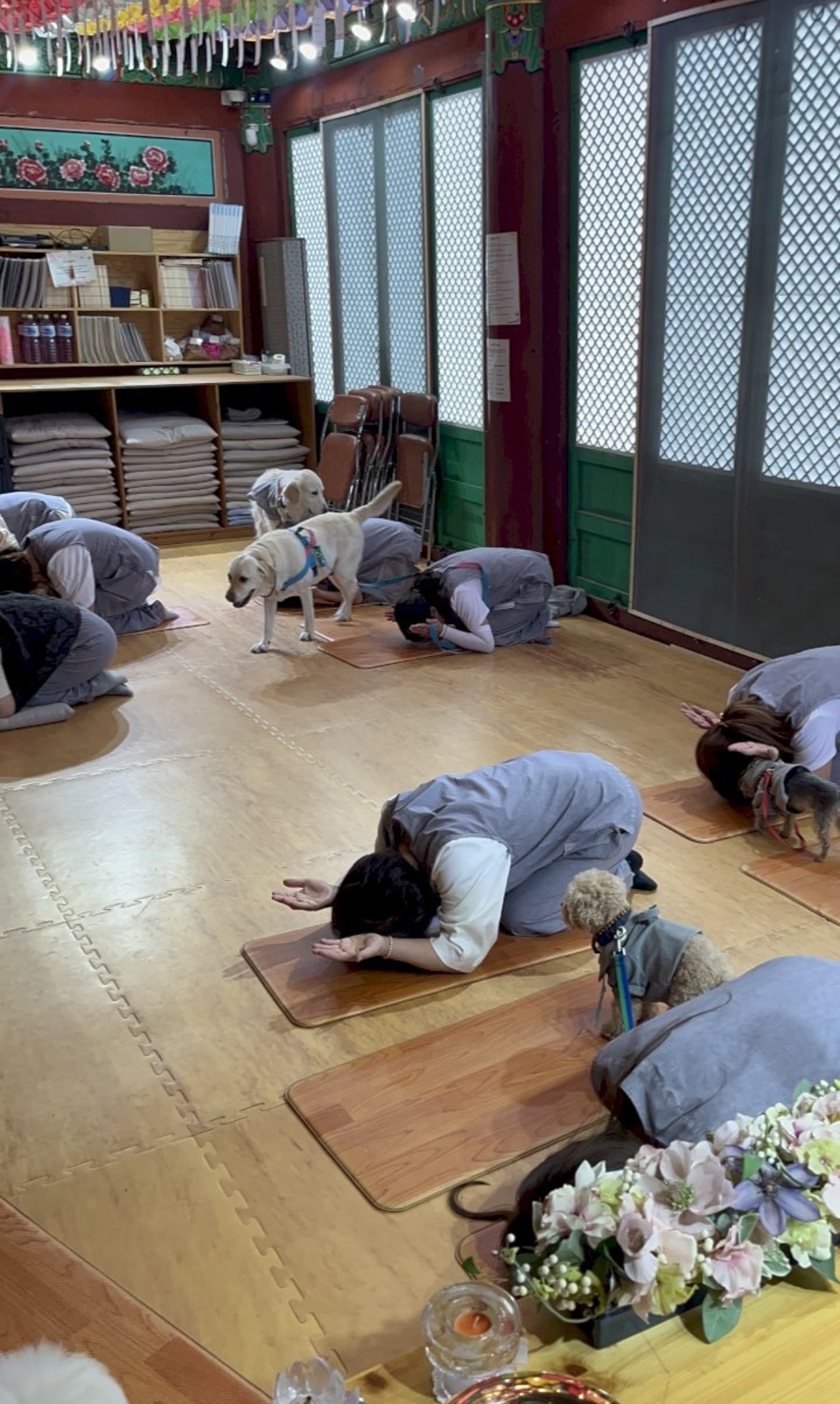 게시물 이미지