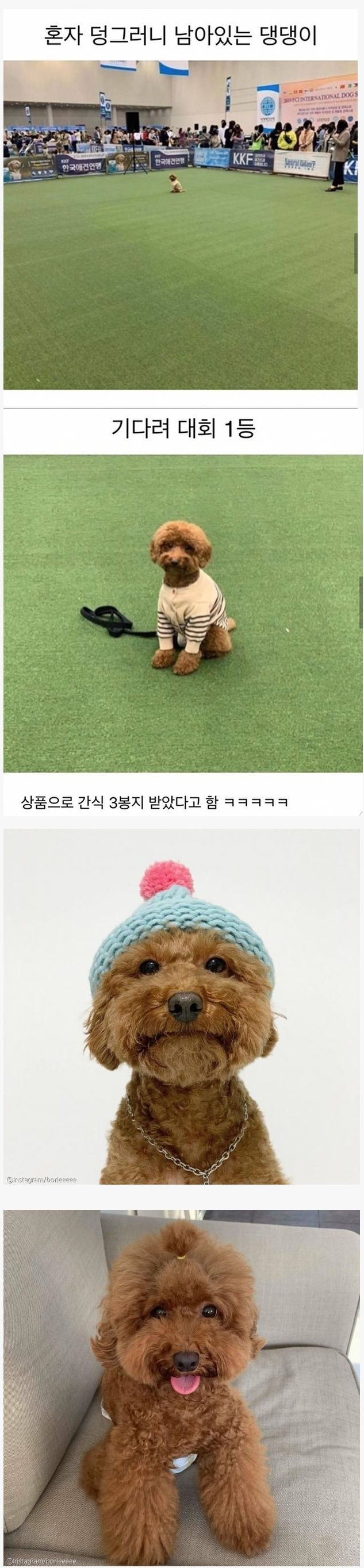 게시물 이미지