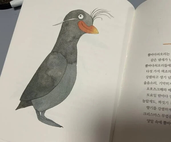 게시물 이미지
