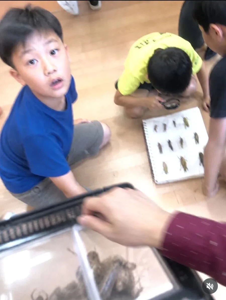 게시물 이미지
