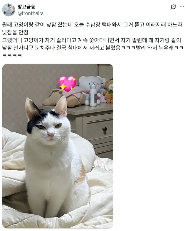 게시물 이미지