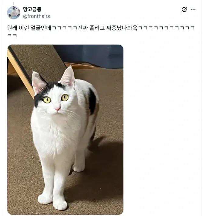 게시물 이미지