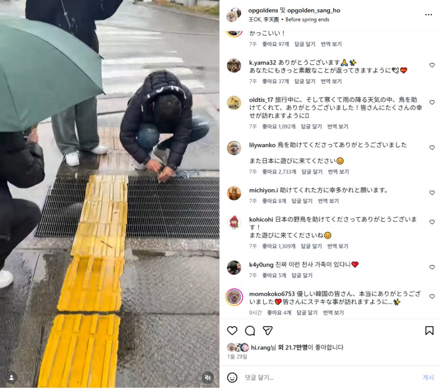 게시물 이미지