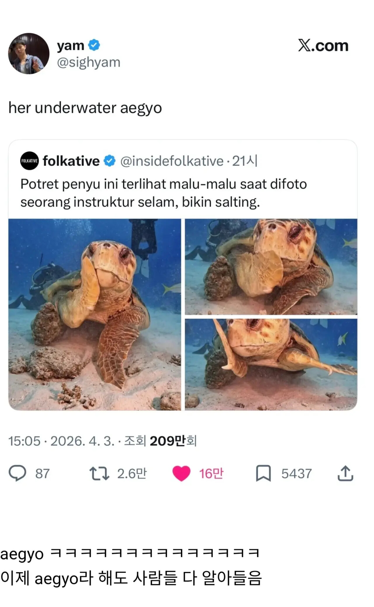게시물 이미지