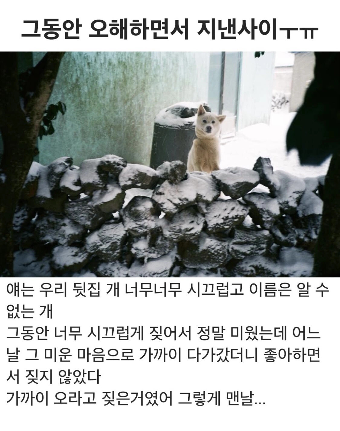 게시물 이미지