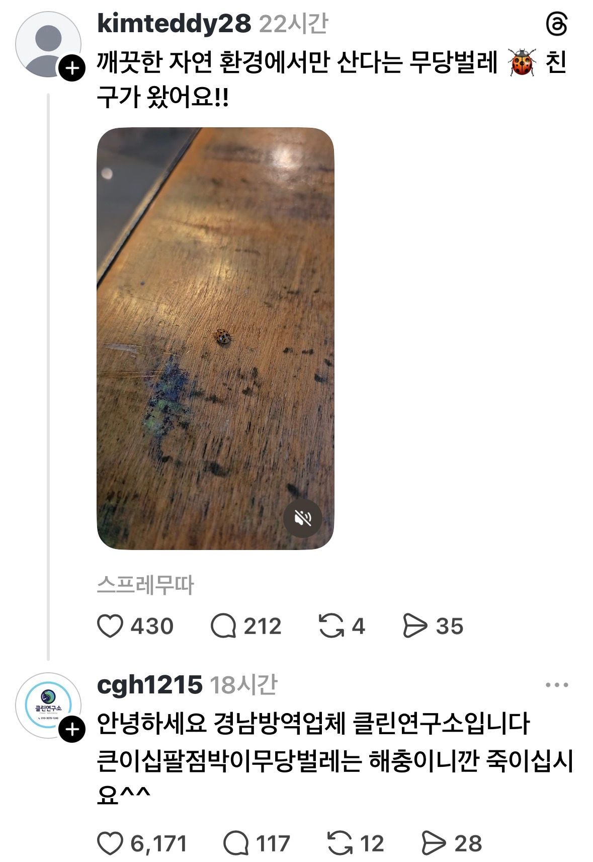 게시물 이미지