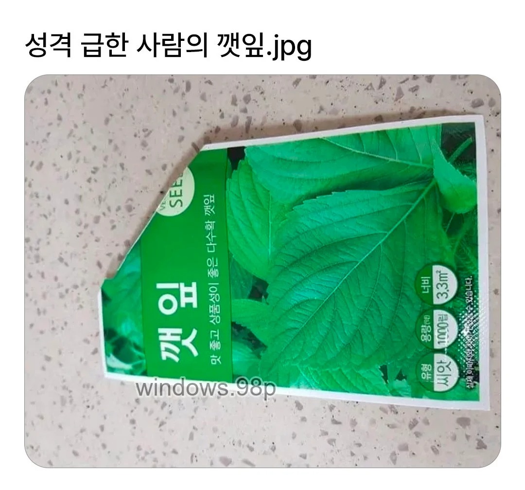 게시물 이미지