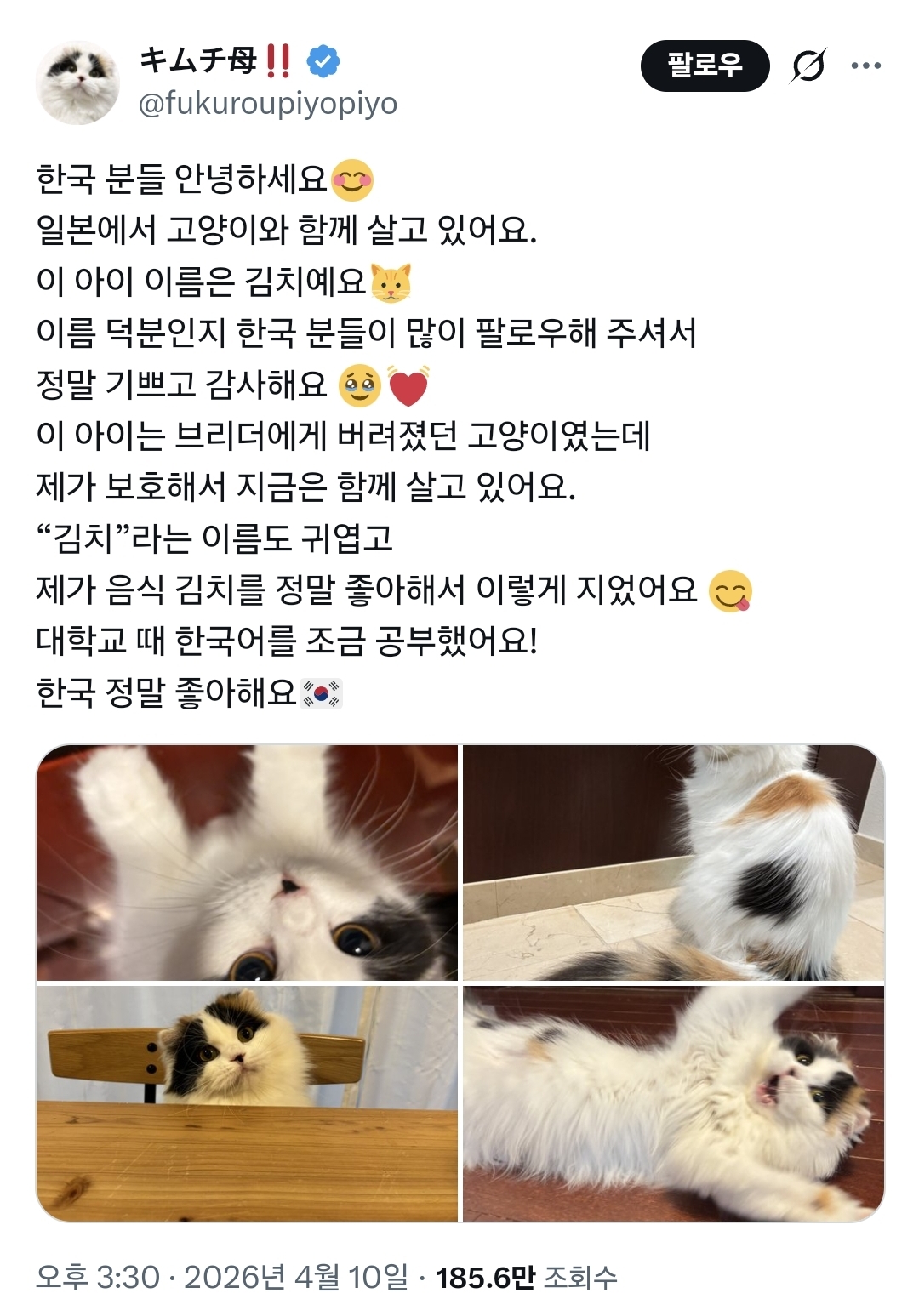 게시물 이미지